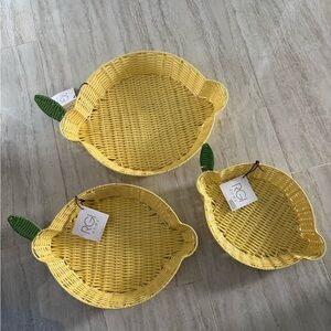 RGI Home Yellow Lemon Baskets